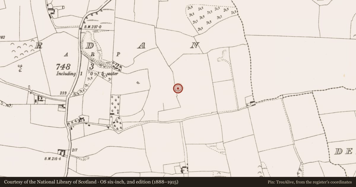 Ordnance Survey six-inch map, 2nd edition (1888–1915) covering the location of Ringfort - rath, Ardan, County Offaly, with a pin at the register's coordinates