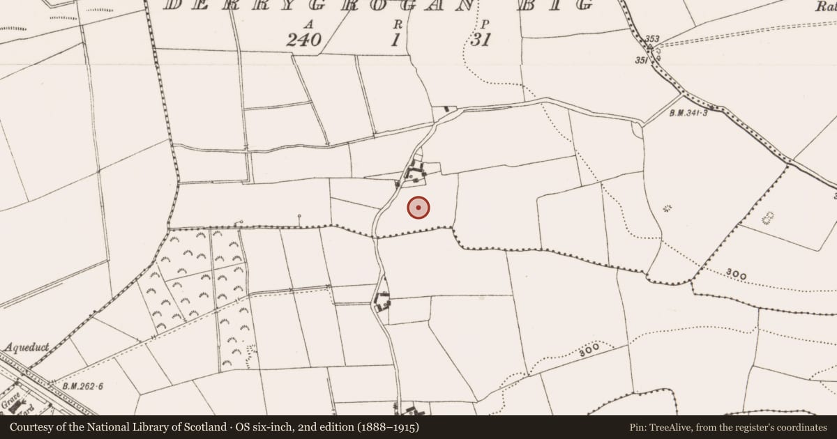 Ordnance Survey six-inch map, 2nd edition (1888–1915) covering the location of Enclosure, Derrygrogan Big, County Offaly, with a pin at the register's coordinates