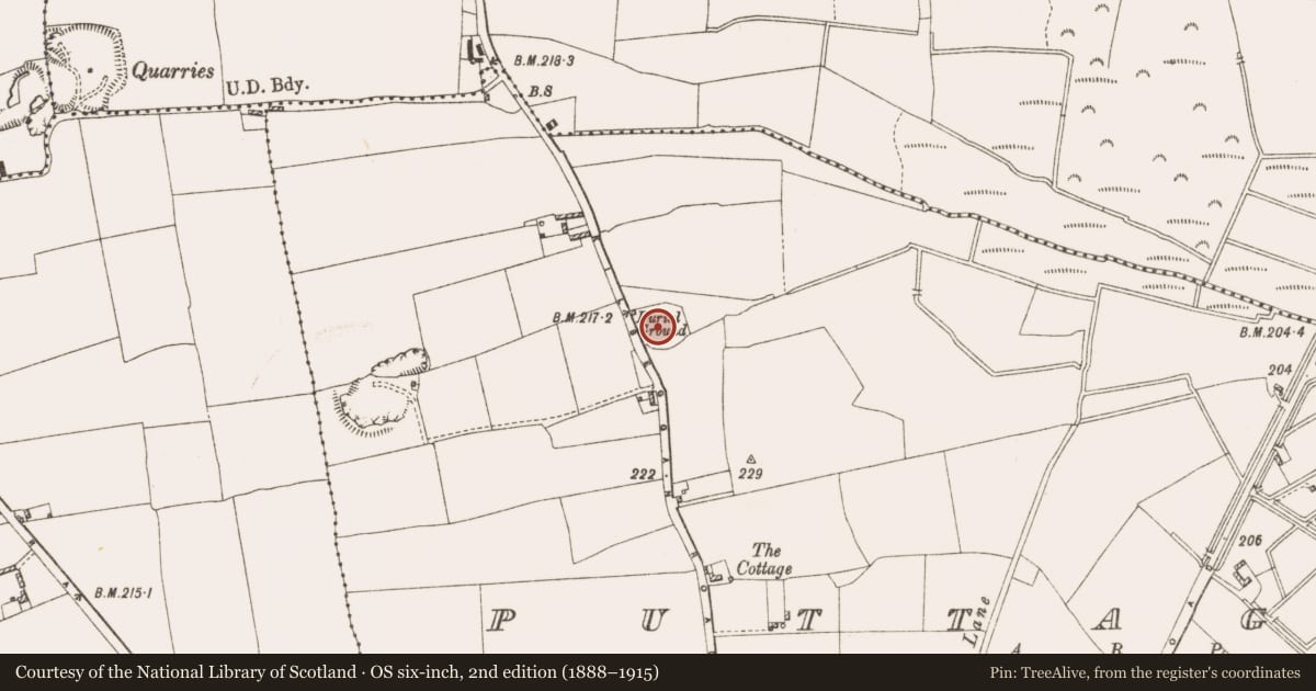 Ordnance Survey six-inch map, 2nd edition (1888–1915) covering the location of Ringfort - rath, Puttaghan, County Offaly, with a pin at the register's coordinates