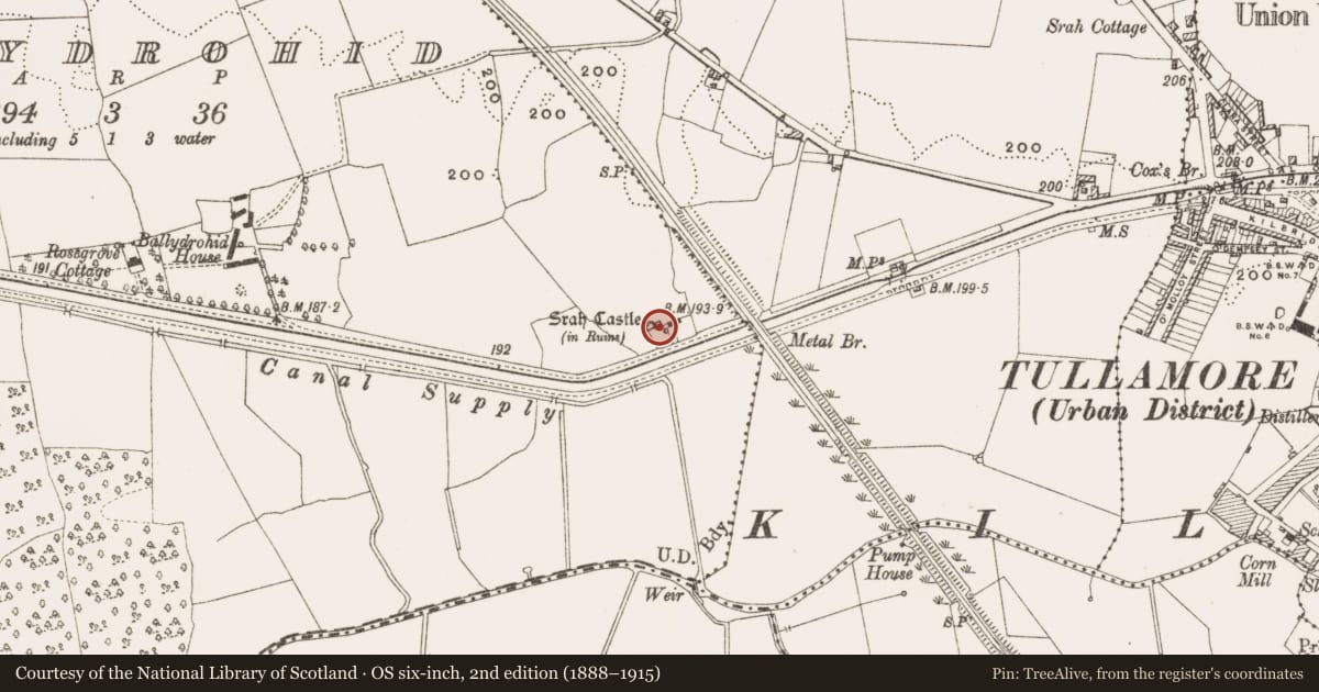 Ordnance Survey six-inch map, 2nd edition (1888–1915) covering the location of Castle - tower house, Ballydrohid, County Offaly, with a pin at the register's coordinates