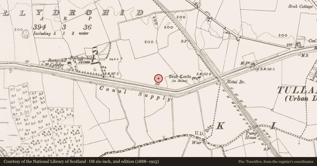 Ordnance Survey six-inch map, 2nd edition (1888–1915) covering the location of Enclosure, County Offaly, with a pin at the register's coordinates