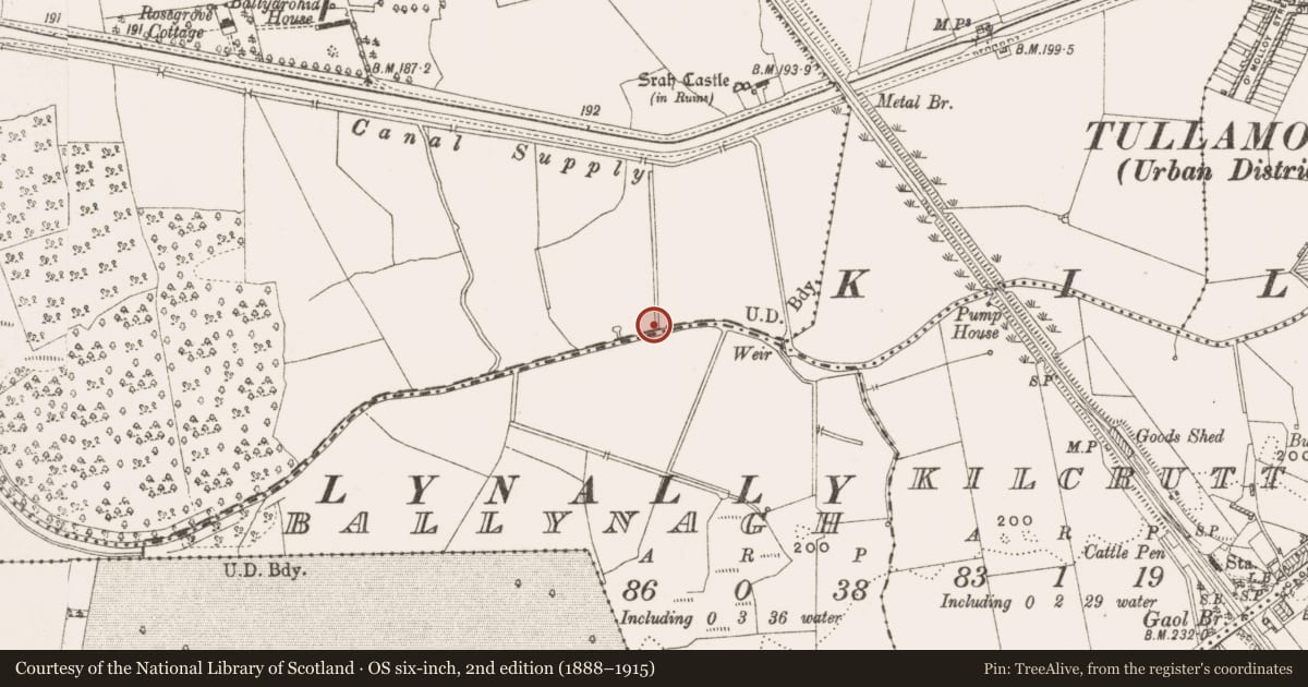 Ordnance Survey six-inch map, 2nd edition (1888–1915) covering the location of Field system, County Offaly, with a pin at the register's coordinates
