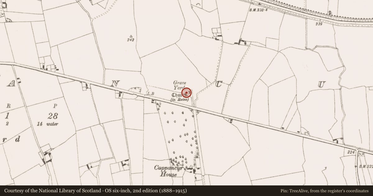 Ordnance Survey six-inch map, 2nd edition (1888–1915) covering the location of Church, Cappancur, County Offaly, with a pin at the register's coordinates