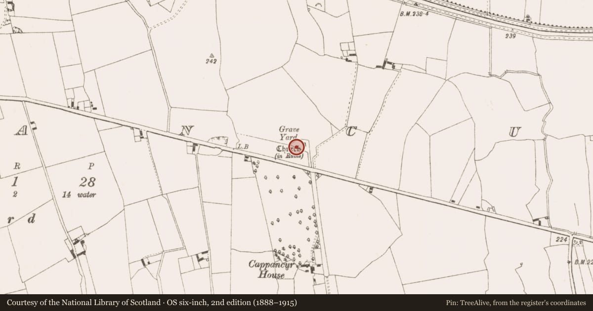 Ordnance Survey six-inch map, 2nd edition (1888–1915) covering the location of Ecclesiastical enclosure, Cappancur, County Offaly, with a pin at the register's coordinates