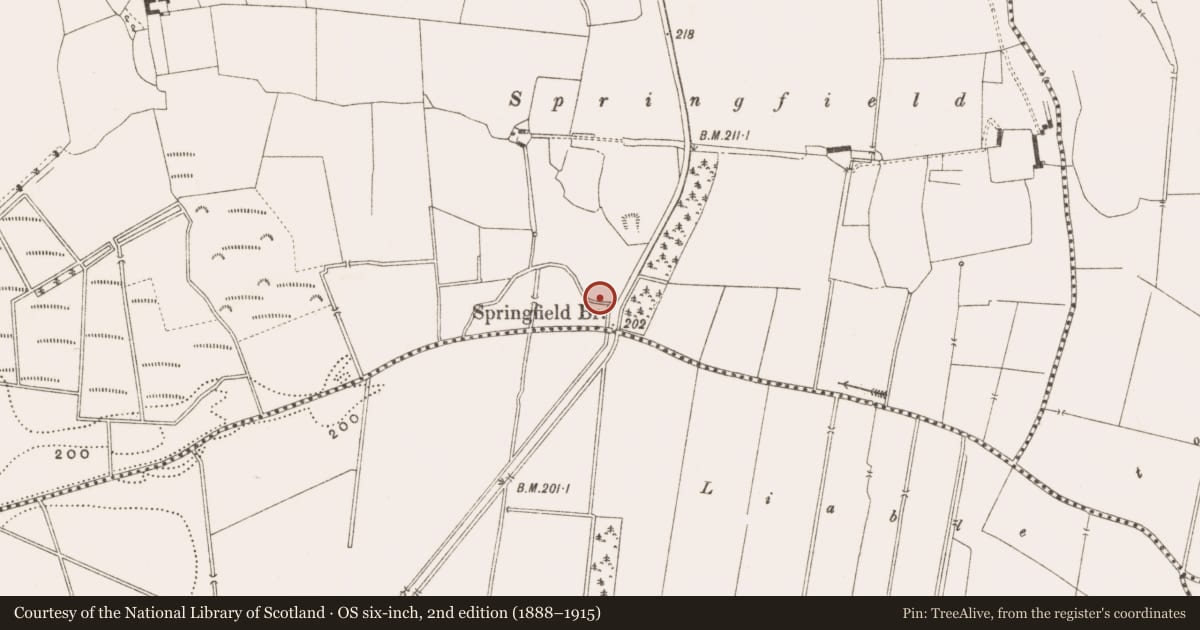 Ordnance Survey six-inch map, 2nd edition (1888–1915) covering the location of Hut site, Cappancur, County Offaly, with a pin at the register's coordinates