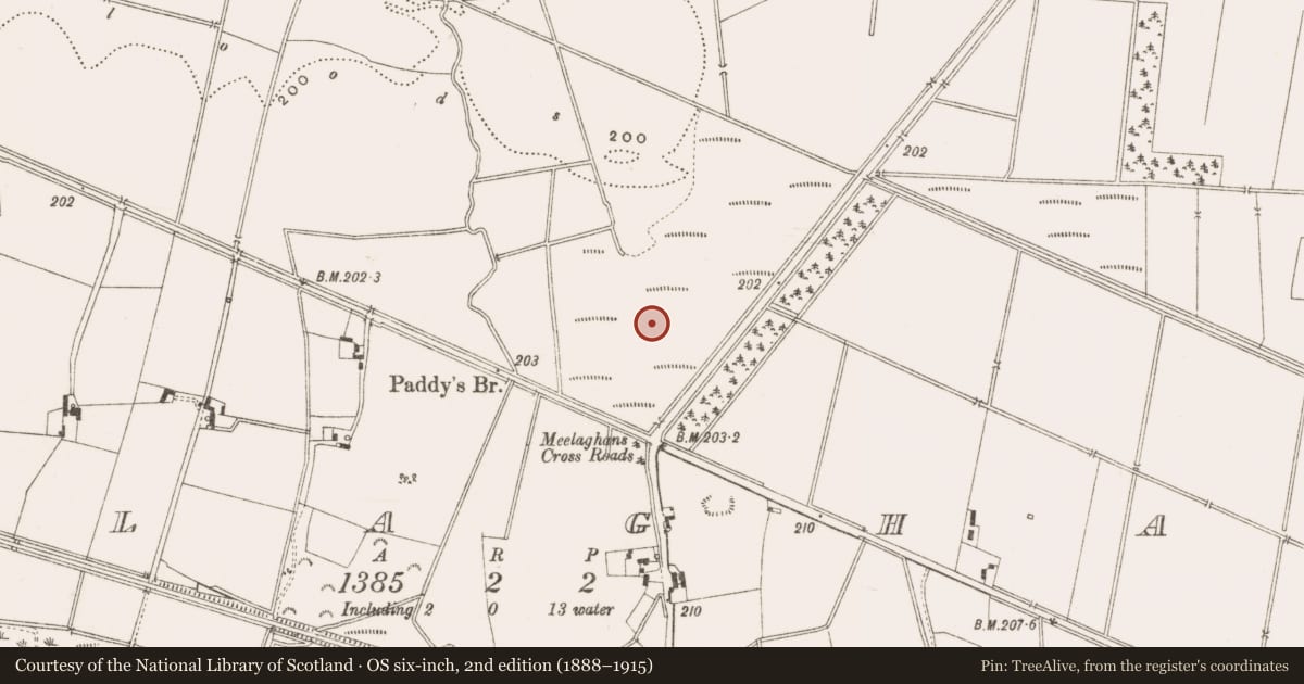Ordnance Survey six-inch map, 2nd edition (1888–1915) covering the location of Ringfort - unclassified, Meelaghans, County Offaly, with a pin at the register's coordinates