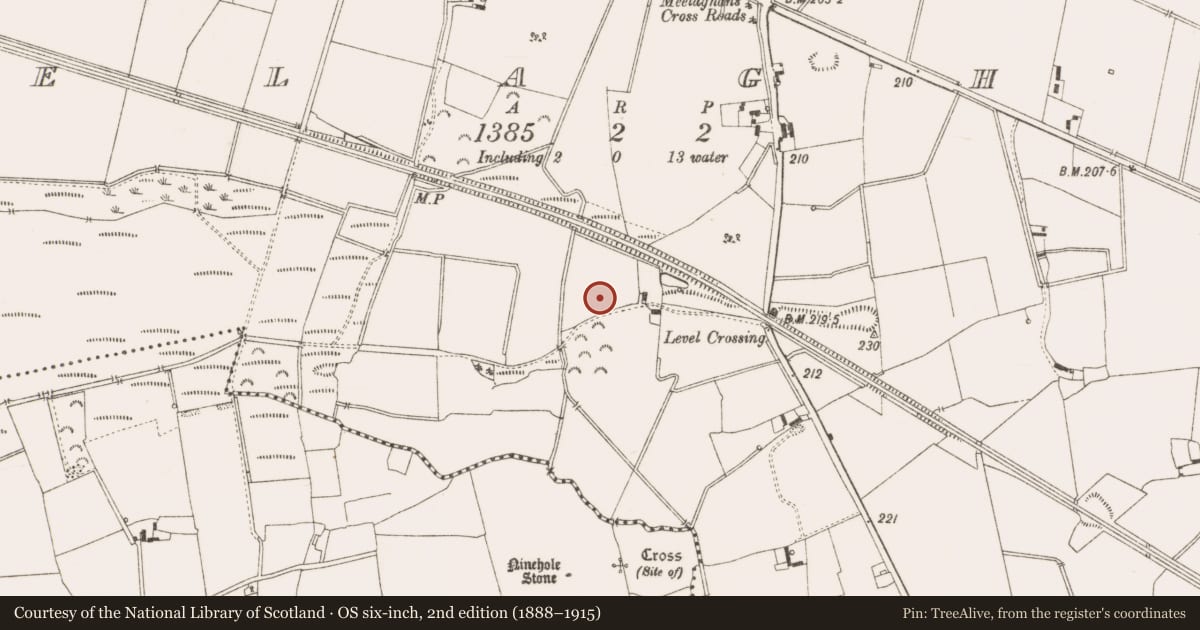 Ordnance Survey six-inch map, 2nd edition (1888–1915) covering the location of Enclosure, Meelaghans, County Offaly, with a pin at the register's coordinates