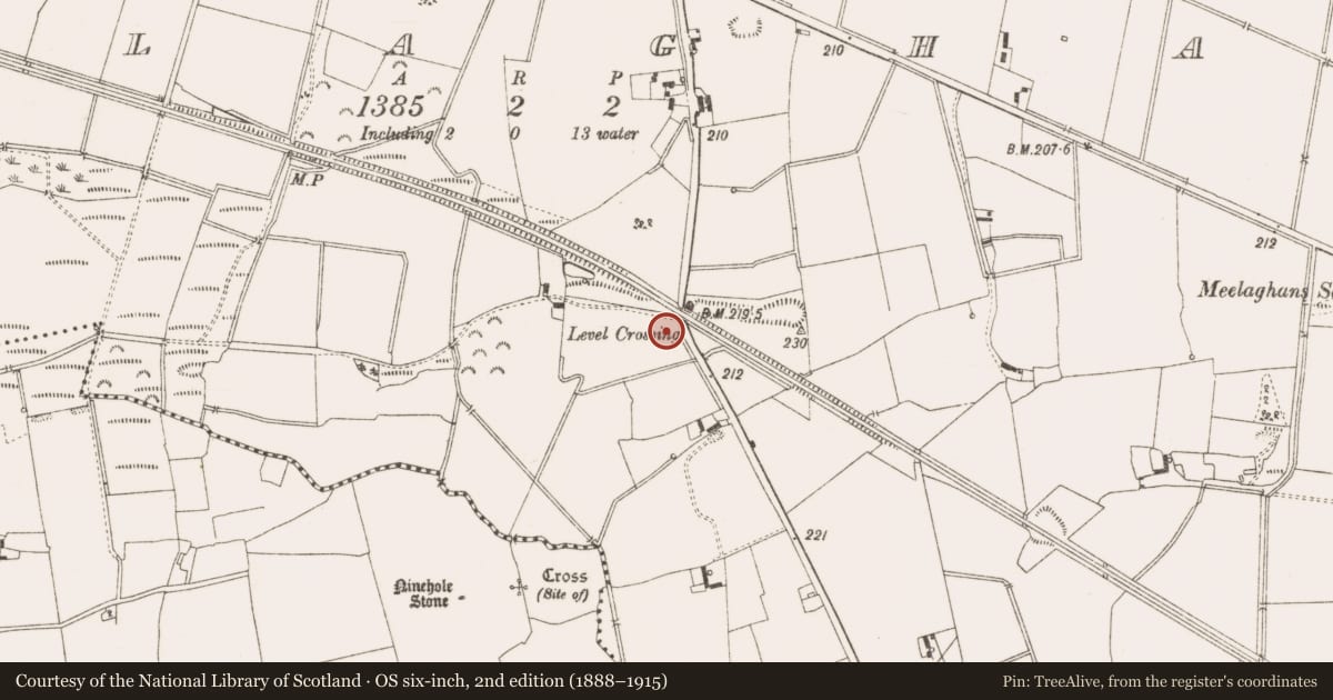 Ordnance Survey six-inch map, 2nd edition (1888–1915) covering the location of Earthwork, Meelaghans, County Offaly, with a pin at the register's coordinates