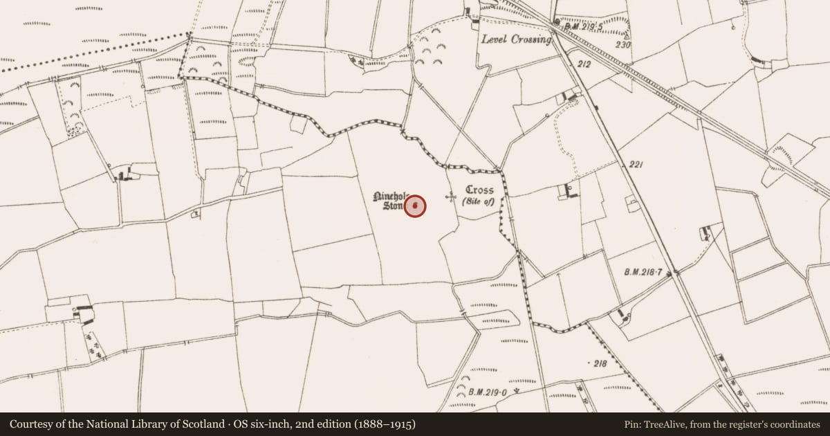 Ordnance Survey six-inch map, 2nd edition (1888–1915) covering the location of Bullaun stone, Killeenmore, County Offaly, with a pin at the register's coordinates