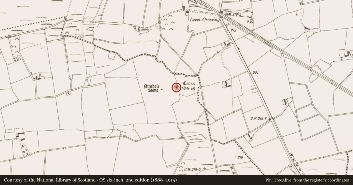 Ordnance Survey six-inch map, 2nd edition (1888–1915) covering the location of Cross, Killeenmore, County Offaly, with a pin at the register's coordinates