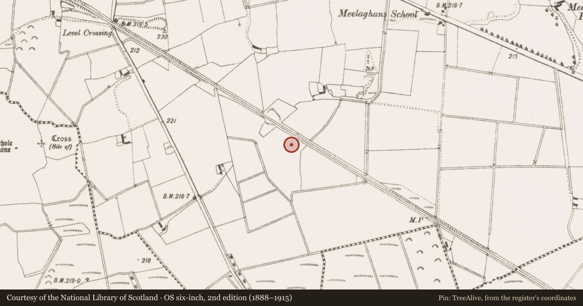 Ordnance Survey six-inch map, 2nd edition (1888–1915) covering the location of Quarry, Meelaghans, County Offaly, with a pin at the register's coordinates