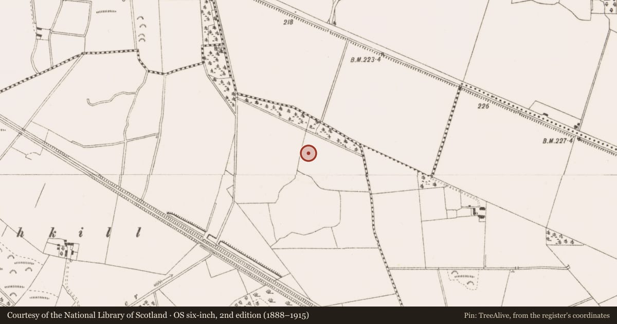 Ordnance Survey six-inch map, 2nd edition (1888–1915) covering the location of Enclosure, Newtown, County Offaly, with a pin at the register's coordinates