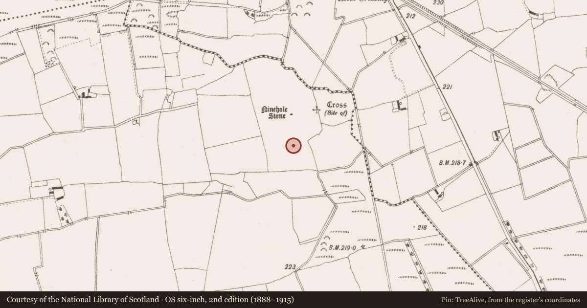Ordnance Survey six-inch map, 2nd edition (1888–1915) covering the location of Bullaun stone, Killeenmore, County Offaly, with a pin at the register's coordinates