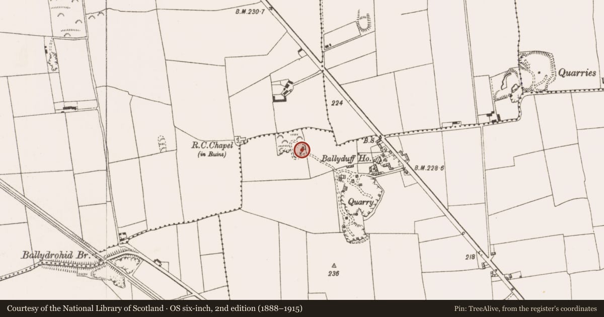 Ordnance Survey six-inch map, 2nd edition (1888–1915) covering the location of Quarry, Srah, County Offaly, with a pin at the register's coordinates