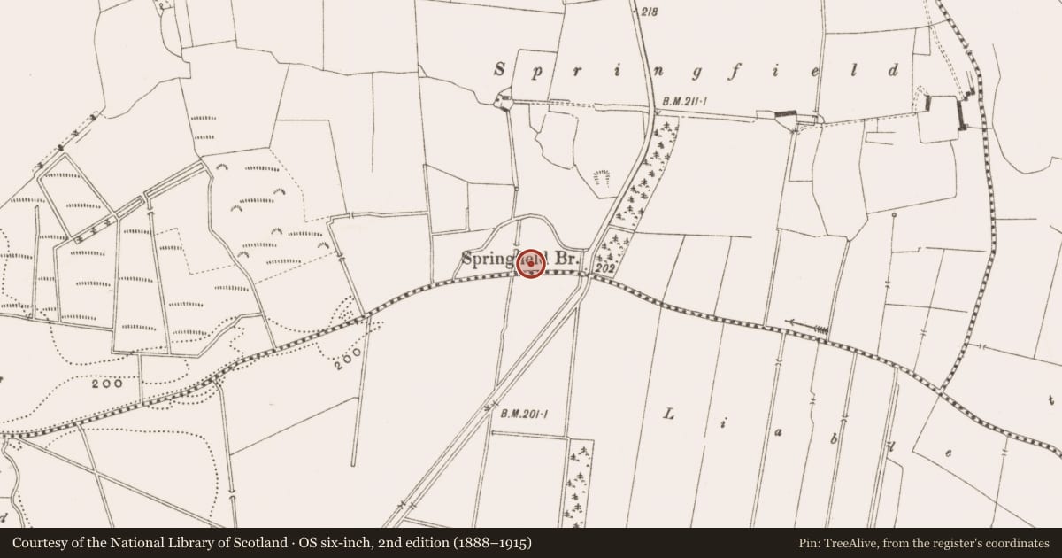 Ordnance Survey six-inch map, 2nd edition (1888–1915) covering the location of Barrow - ring-barrow, Cappancur, County Offaly, with a pin at the register's coordinates