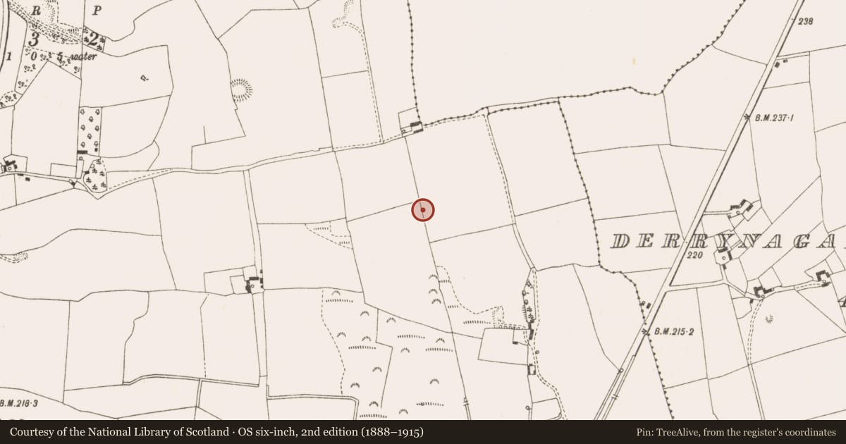 Ordnance Survey six-inch map, 2nd edition (1888–1915) covering the location of Charcoal-making site, Ardan, County Offaly, with a pin at the register's coordinates