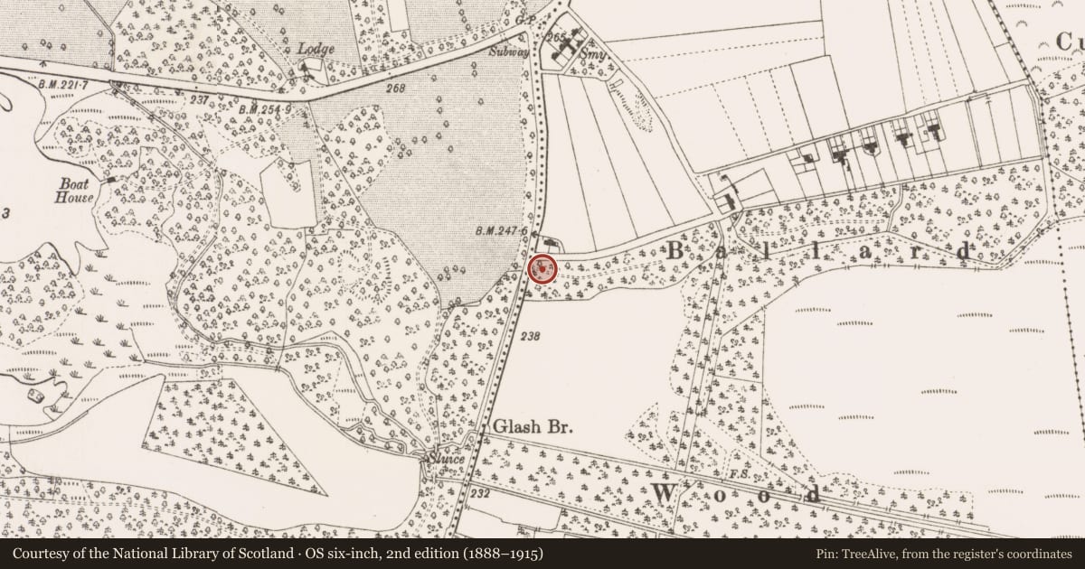 Ordnance Survey six-inch map, 2nd edition (1888–1915) covering the location of Charcoal-making site, Ballard, County Offaly, with a pin at the register's coordinates