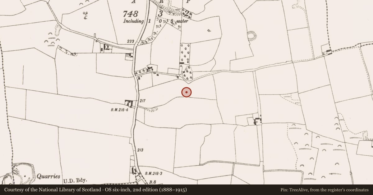 Ordnance Survey six-inch map, 2nd edition (1888–1915) covering the location of Ring-ditch, Ardan, County Offaly, with a pin at the register's coordinates