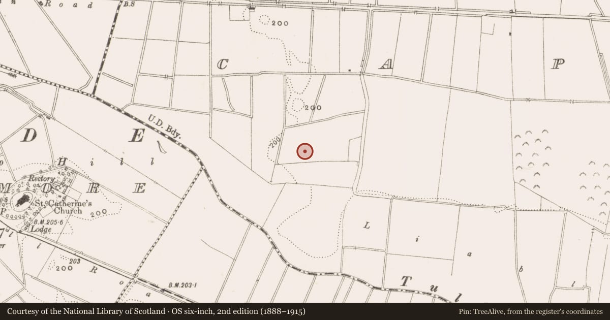 Ordnance Survey six-inch map, 2nd edition (1888–1915) covering the location of Barrow - ditch barrow, Cappancur, County Offaly, with a pin at the register's coordinates