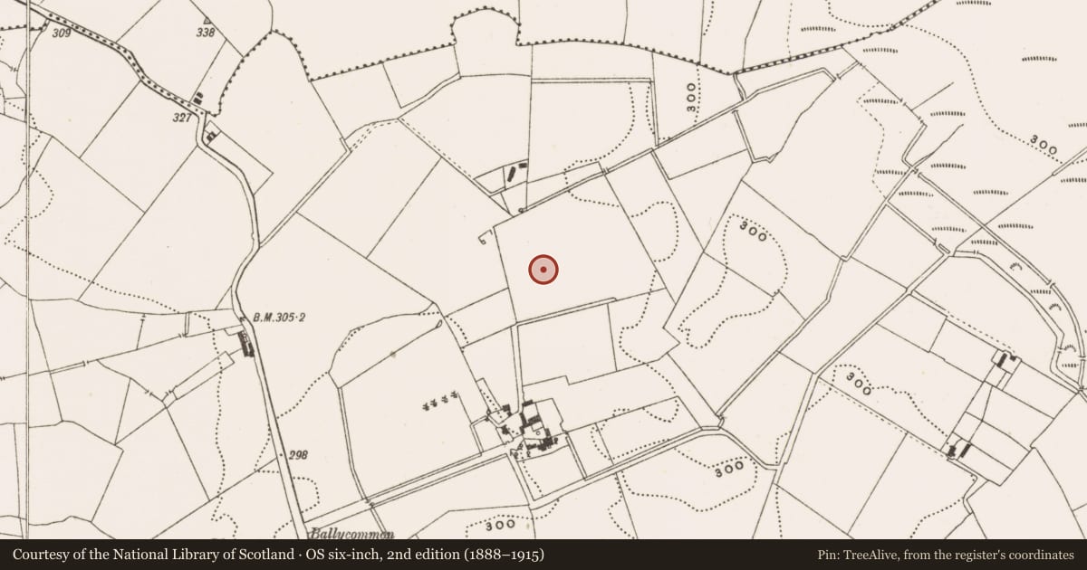 Ordnance Survey six-inch map, 2nd edition (1888–1915) covering the location of Enclosure, Ballycommon, County Offaly, with a pin at the register's coordinates