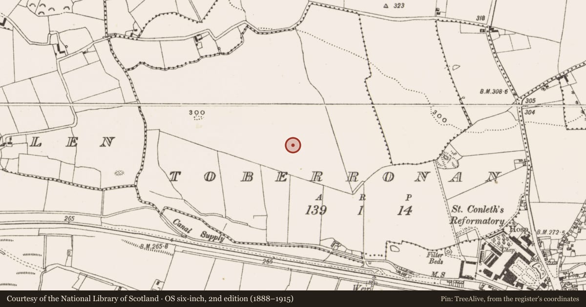 Ordnance Survey six-inch map, 2nd edition (1888–1915) covering the location of Enclosure, Toberronan, County Offaly, with a pin at the register's coordinates