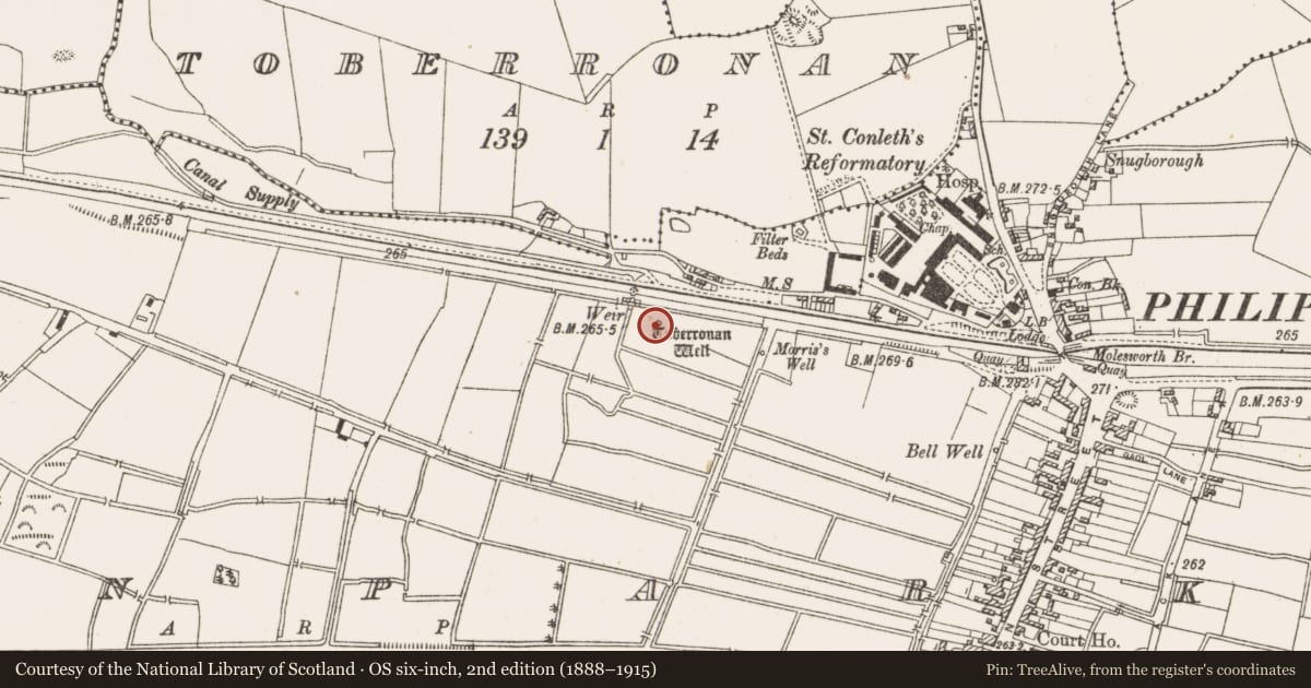 Ordnance Survey six-inch map, 2nd edition (1888–1915) covering the location of Ritual site - holy well, Townparks, County Offaly, with a pin at the register's coordinates
