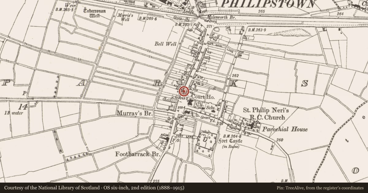 Ordnance Survey six-inch map, 2nd edition (1888–1915) covering the location of Historic town, Townparks, County Offaly, with a pin at the register's coordinates