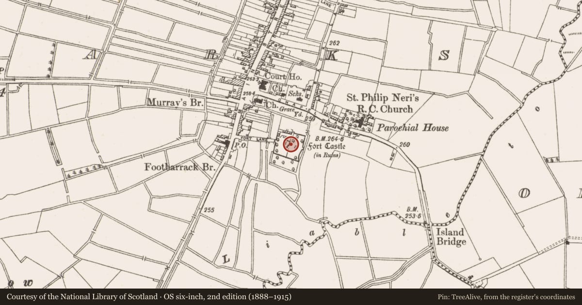 Ordnance Survey six-inch map, 2nd edition (1888–1915) covering the location of Bawn, Townparks, County Offaly, with a pin at the register's coordinates