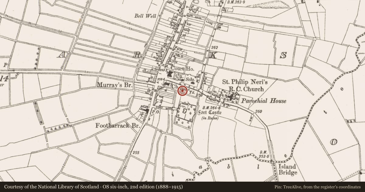 Ordnance Survey six-inch map, 2nd edition (1888–1915) covering the location of Graveyard, Townparks, County Offaly, with a pin at the register's coordinates