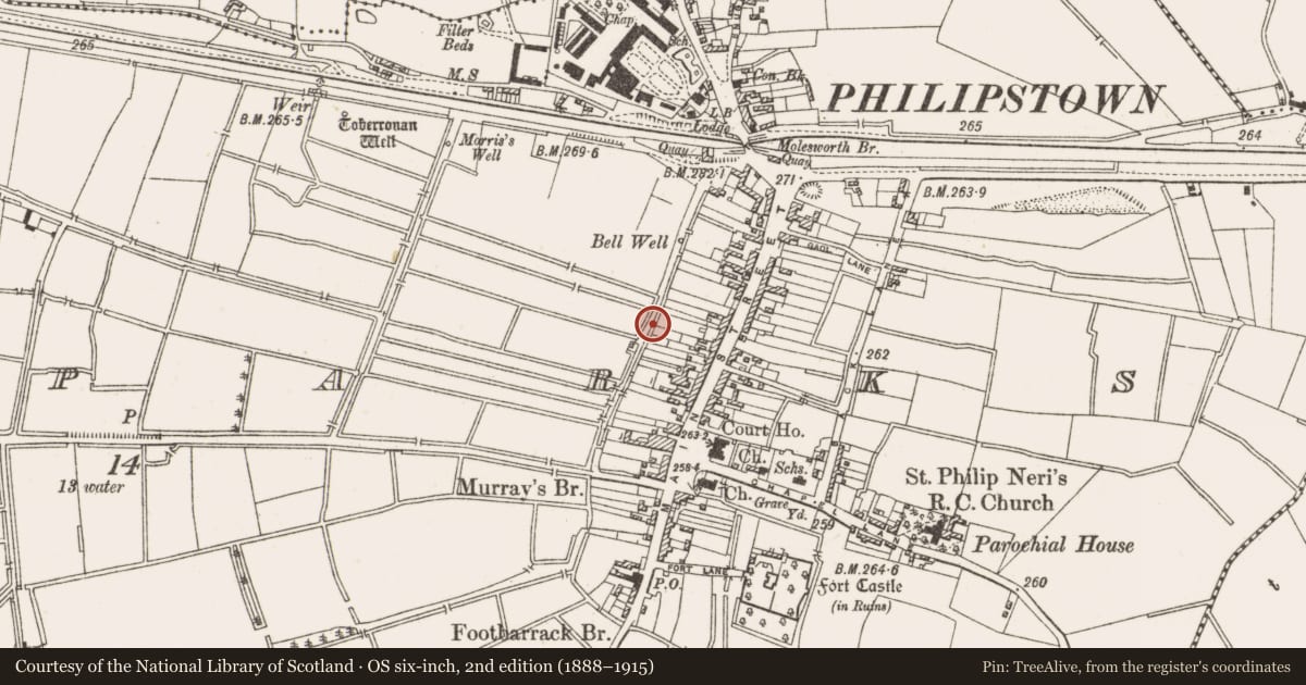 Ordnance Survey six-inch map, 2nd edition (1888–1915) covering the location of Town defences, Townparks, County Offaly, with a pin at the register's coordinates