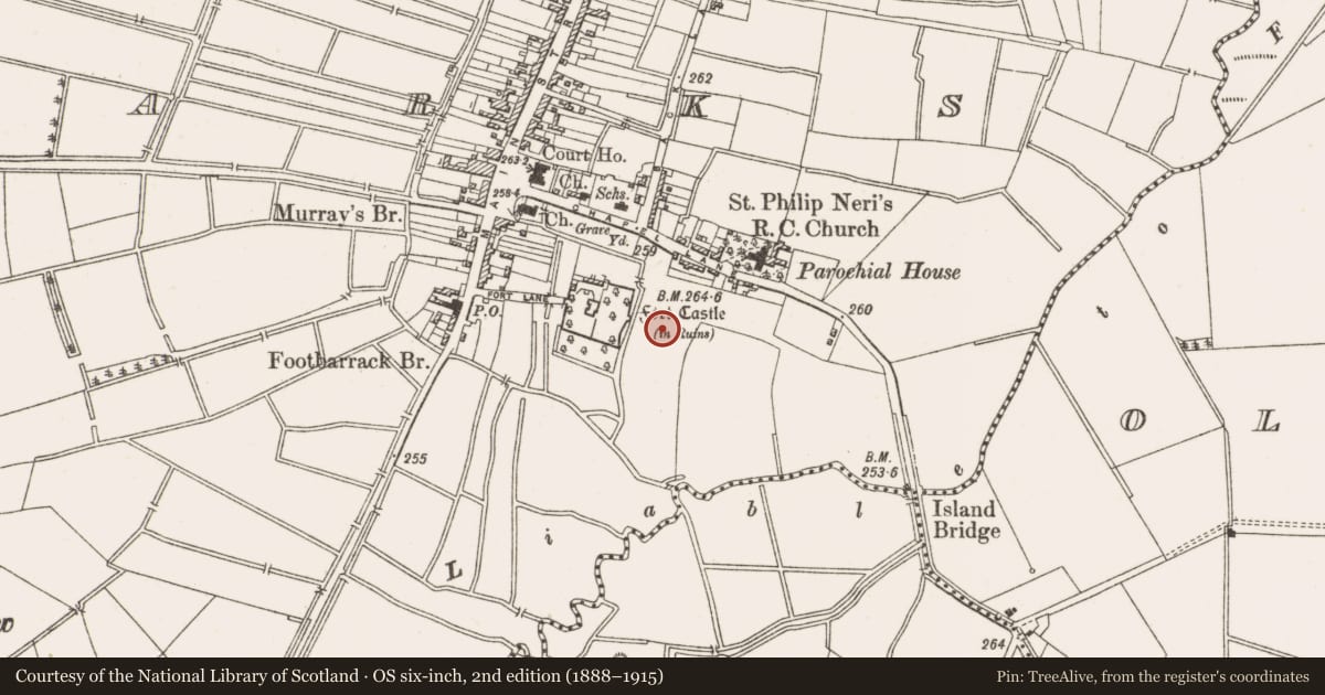 Ordnance Survey six-inch map, 2nd edition (1888–1915) covering the location of Road - road/trackway, Townparks, County Offaly, with a pin at the register's coordinates