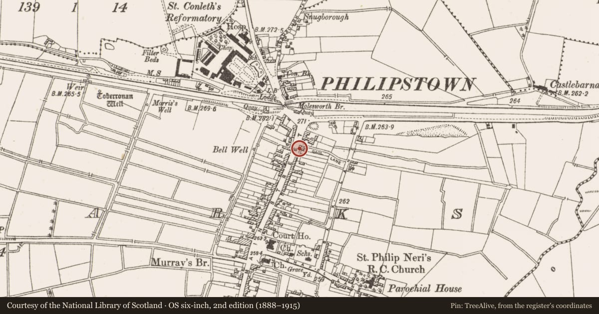 Ordnance Survey six-inch map, 2nd edition (1888–1915) covering the location of Armorial plaque (present location), Townparks, County Offaly, with a pin at the register's coordinates
