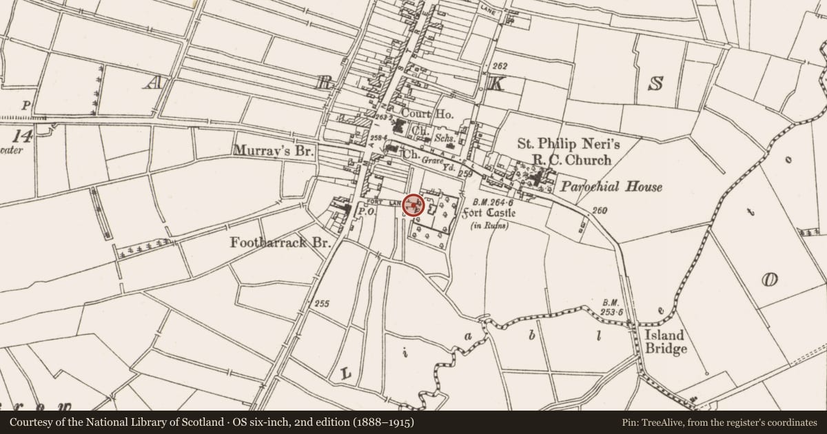 Ordnance Survey six-inch map, 2nd edition (1888–1915) covering the location of Armorial plaque, Townparks, County Offaly, with a pin at the register's coordinates