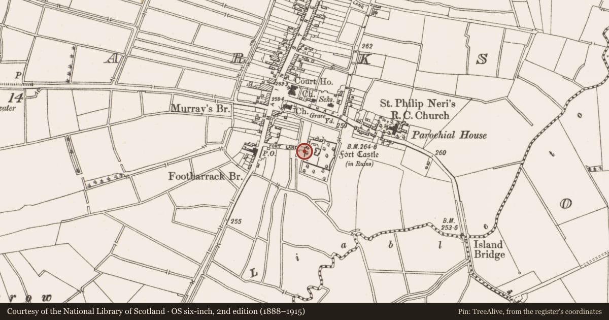 Ordnance Survey six-inch map, 2nd edition (1888–1915) covering the location of Armorial plaque, Townparks, County Offaly, with a pin at the register's coordinates