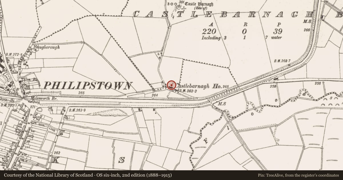 Ordnance Survey six-inch map, 2nd edition (1888–1915) covering the location of Armorial plaque (present location), Castlebarnagh Big, County Offaly, with a pin at the register's coordinates