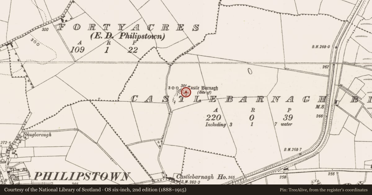 Ordnance Survey six-inch map, 2nd edition (1888–1915) covering the location of Castle - tower house, Castlebarnagh Big, County Offaly, with a pin at the register's coordinates
