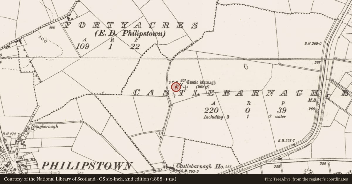 Ordnance Survey six-inch map, 2nd edition (1888–1915) covering the location of Bawn, Castlebarnagh Big, County Offaly, with a pin at the register's coordinates