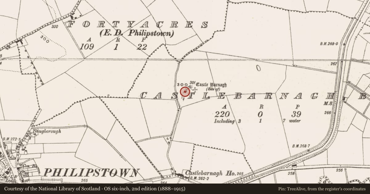 Ordnance Survey six-inch map, 2nd edition (1888–1915) covering the location of Quarry, Castlebarnagh Big, County Offaly, with a pin at the register's coordinates