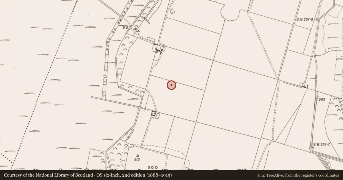 Ordnance Survey six-inch map, 2nd edition (1888–1915) covering the location of Enclosure, Clonarrow Or Riverlyons, County Offaly, with a pin at the register's coordinates