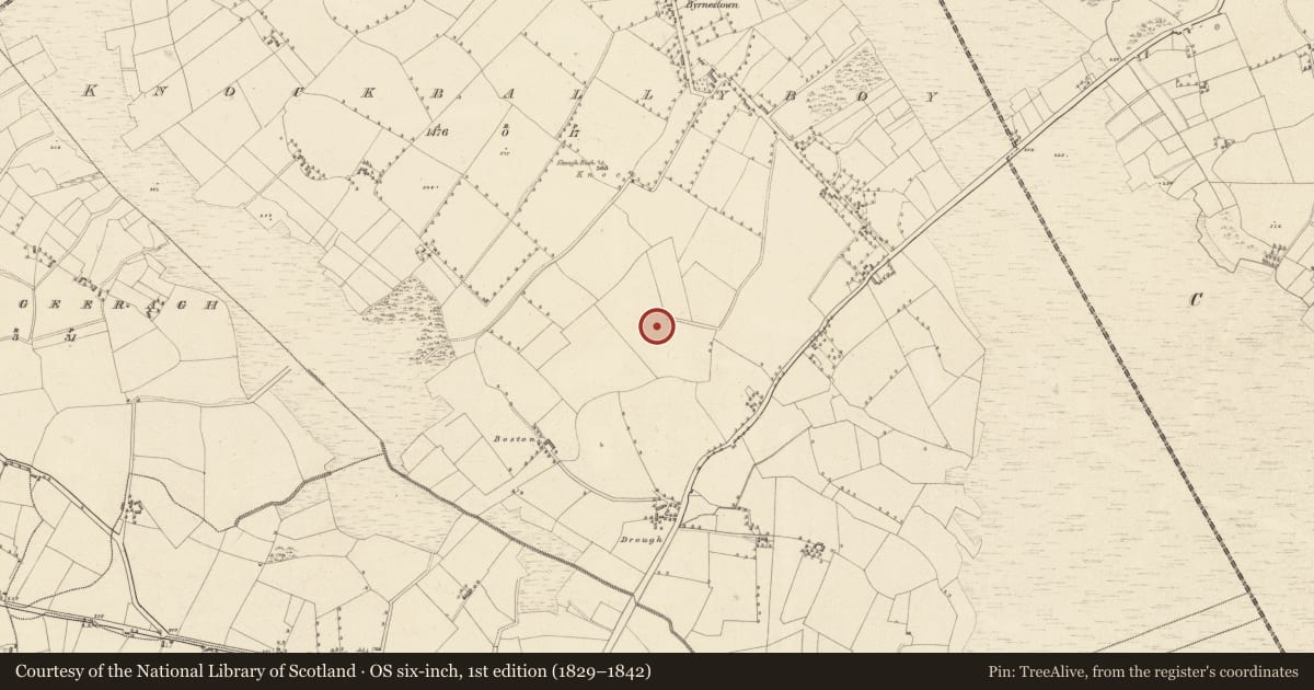 Ordnance Survey six-inch map, 1st edition (1829–1842) covering the location of Enclosure, Knockballyboy, County Offaly, with a pin at the register's coordinates