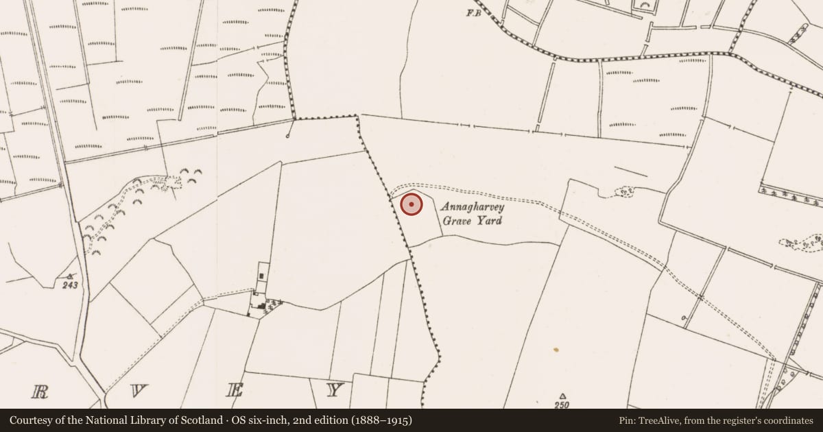 Ordnance Survey six-inch map, 2nd edition (1888–1915) covering the location of Graveyard, Ballymooney, County Offaly, with a pin at the register's coordinates