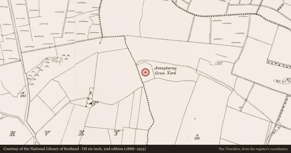 Ordnance Survey six-inch map, 2nd edition (1888–1915) covering the location of Bullaun stone, Ballymooney, County Offaly, with a pin at the register's coordinates