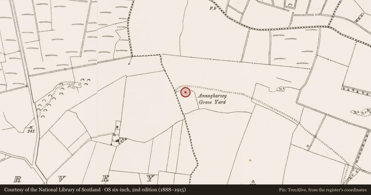 Ordnance Survey six-inch map, 2nd edition (1888–1915) covering the location of Castle - motte, Ballymooney, County Offaly, with a pin at the register's coordinates