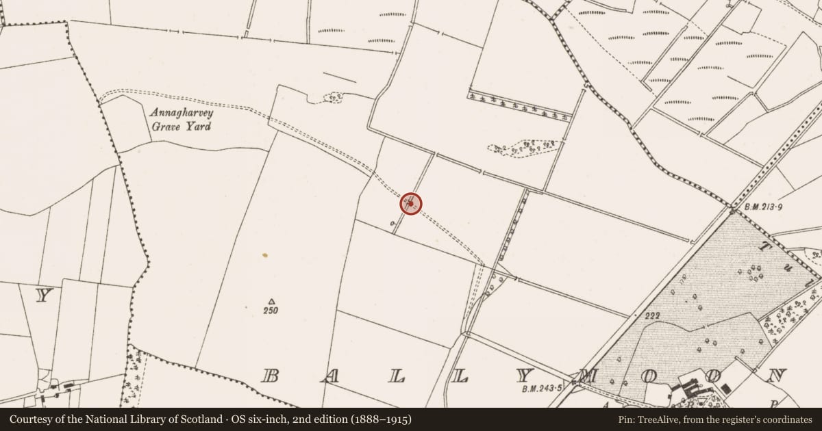 Ordnance Survey six-inch map, 2nd edition (1888–1915) covering the location of Enclosure, Ballymooney, County Offaly, with a pin at the register's coordinates