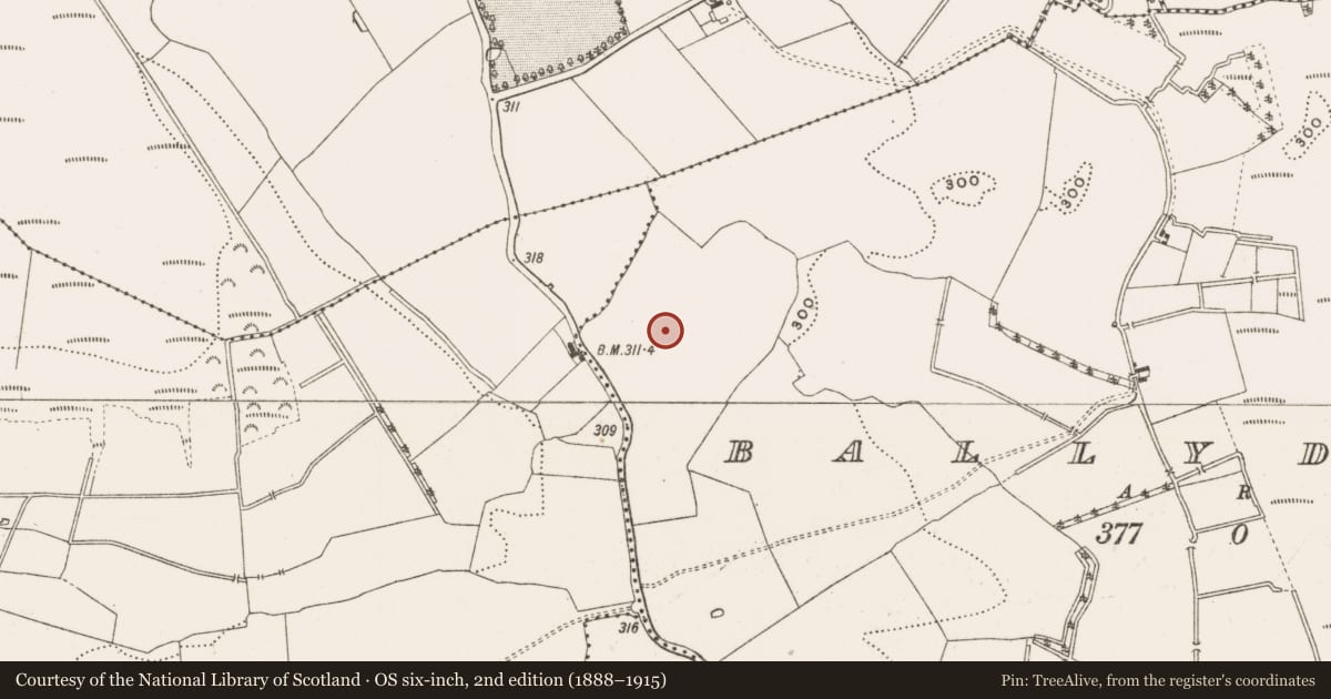 Ordnance Survey six-inch map, 2nd edition (1888–1915) covering the location of Enclosure, Ballyduff, County Offaly, with a pin at the register's coordinates