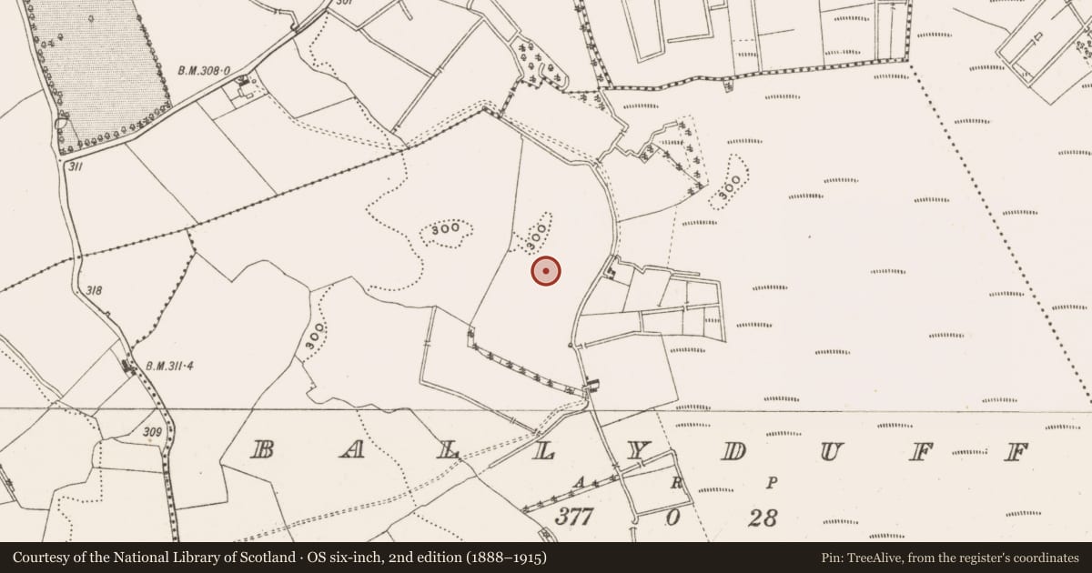 Ordnance Survey six-inch map, 2nd edition (1888–1915) covering the location of Enclosure, Ballyduff, County Offaly, with a pin at the register's coordinates