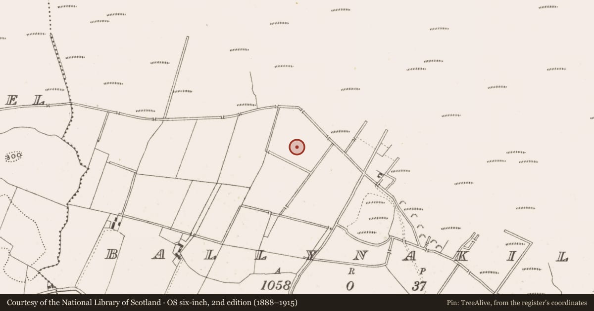 Ordnance Survey six-inch map, 2nd edition (1888–1915) covering the location of Enclosure, Ballynakill, County Offaly, with a pin at the register's coordinates