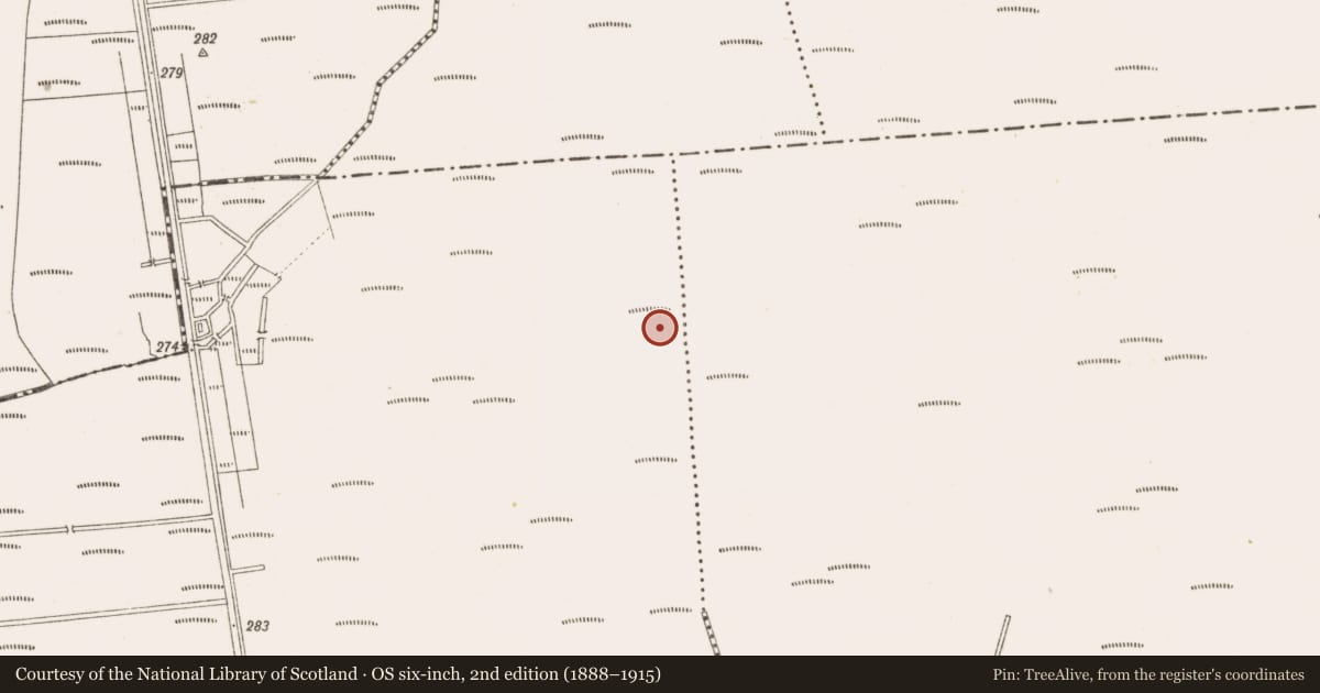 Ordnance Survey six-inch map, 2nd edition (1888–1915) covering the location of Road - class 1 togher, Gorteenkeel, County Offaly, with a pin at the register's coordinates