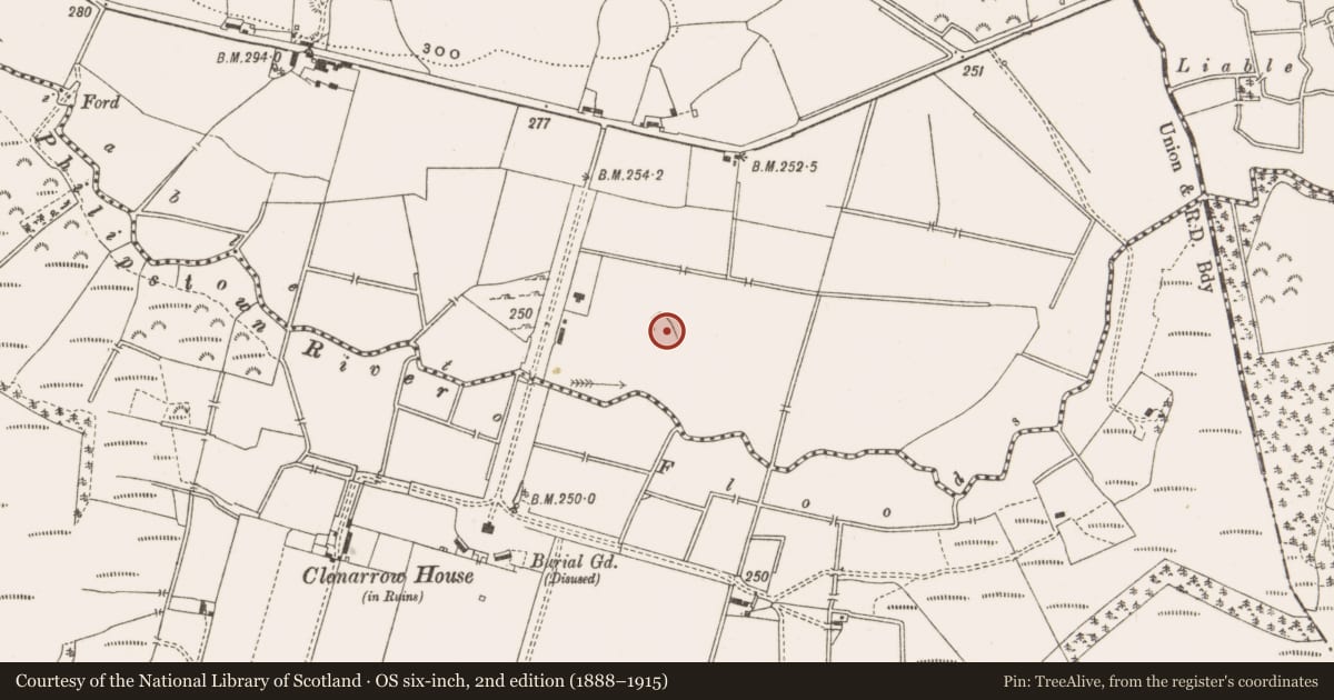 Ordnance Survey six-inch map, 2nd edition (1888–1915) covering the location of Church, Killoneen, County Offaly, with a pin at the register's coordinates