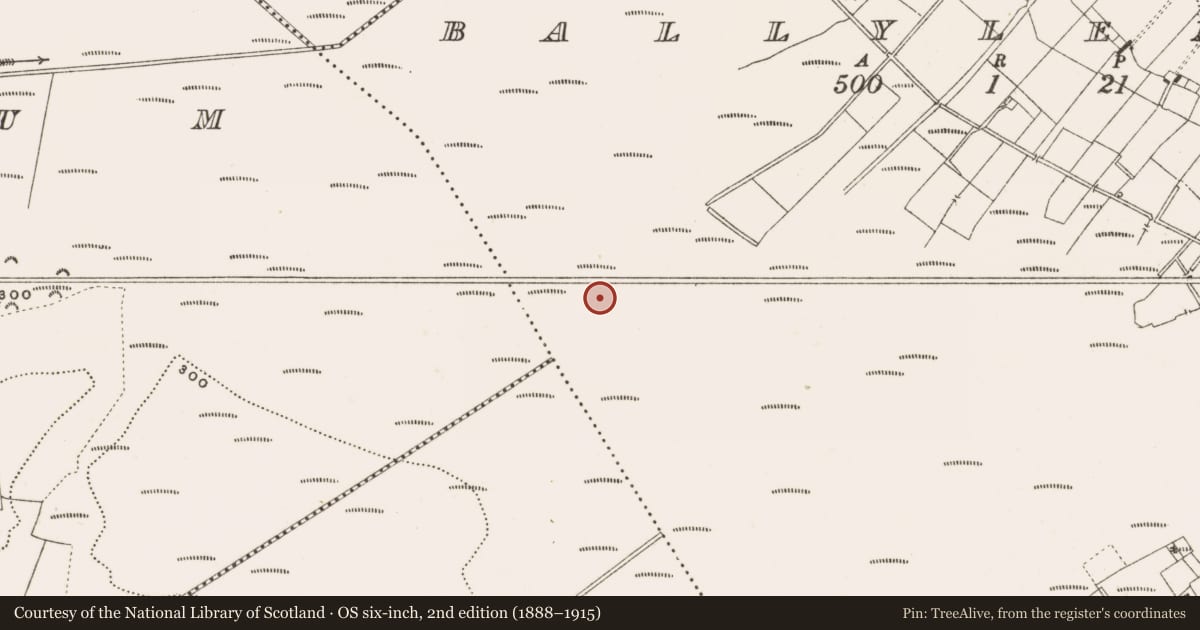 Ordnance Survey six-inch map, 2nd edition (1888–1915) covering the location of Structure - peatland, Ballylennon, County Offaly, with a pin at the register's coordinates
